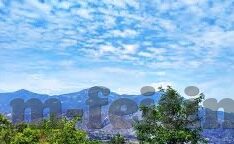 授权大厅炸金花-授权大厅中的炸金花博弈